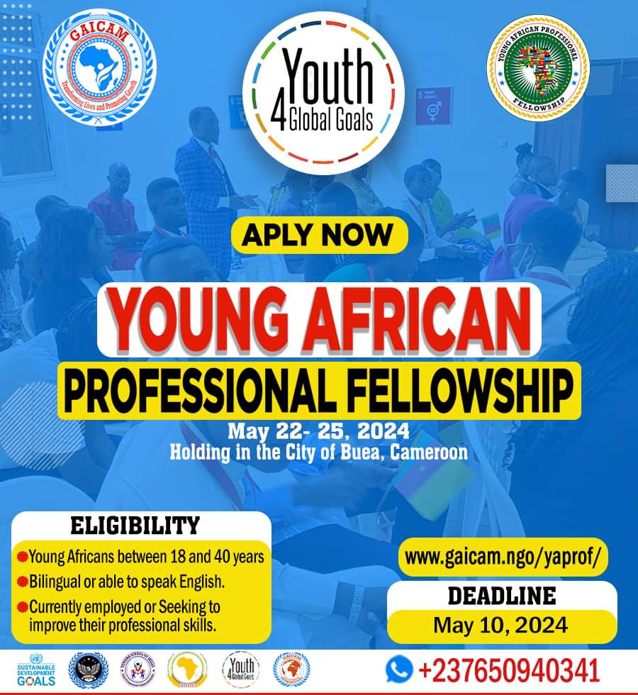 Young African Professional Fellowship