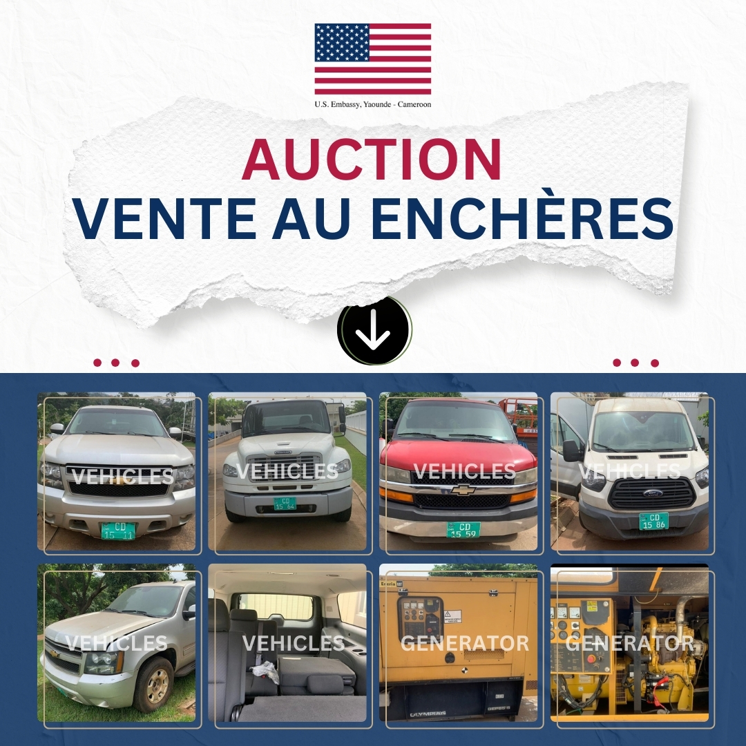 Auction of Vehicles and Generators at the US Embassy