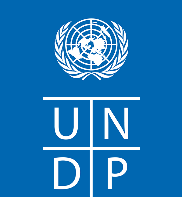 BIDDING & CONTRACT OPPORTUNITIES AT THE UNITED NATIONS DEVELOPMENT PROGRAMME (UNDP)