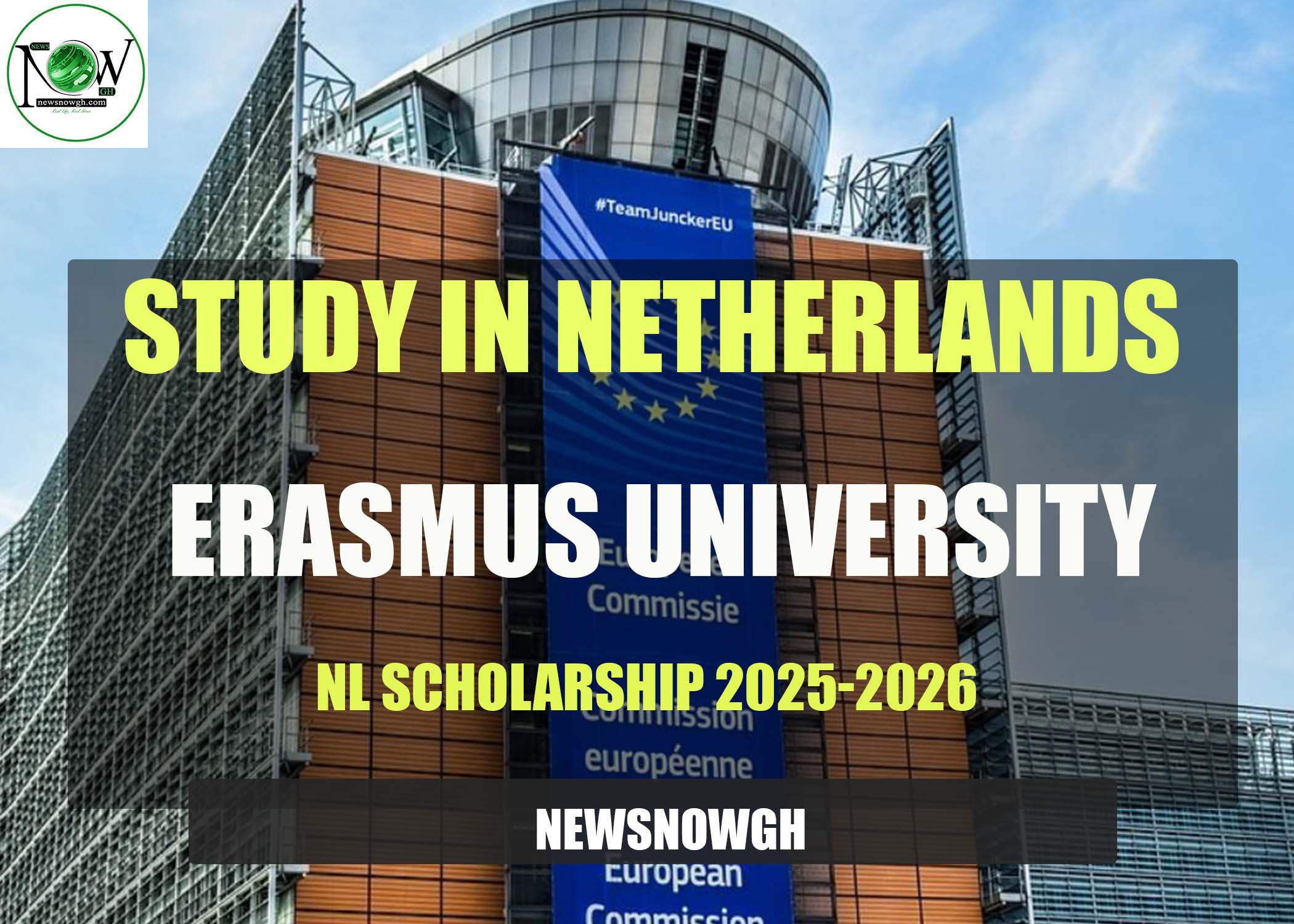 Erasmus University NL Scholarship in Netherlands 2025